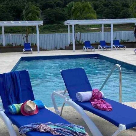 Natty'S Cozy Beach House In Hanover Jamaica Lucea Eksteriør bilde
