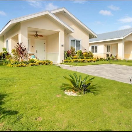 Natty'S Cozy Beach House In Hanover Jamaica Lucea Eksteriør bilde
