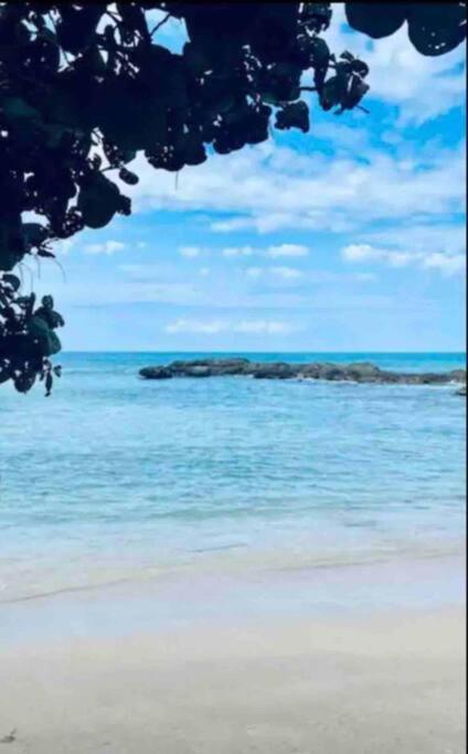 Natty'S Cozy Beach House In Hanover Jamaica Lucea Eksteriør bilde
