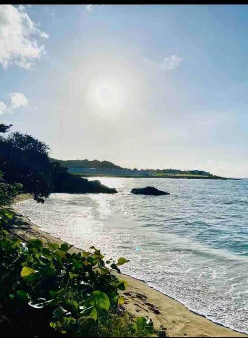 Natty'S Cozy Beach House In Hanover Jamaica Lucea Eksteriør bilde